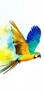 A vibrant parrot in flight on a white background.