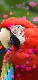 Bright parrot with colorful hearts wallpaper for mobile.