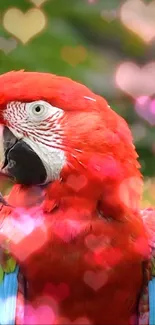 Vibrant red parrot with heart bokeh background.