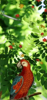 Vibrant parrot sitting among lush green leaves.