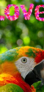 Vibrant parrot with pink 'Love' text and green background.