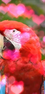 Vibrant red parrot with pink heart overlay background.