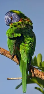 Colorful parrot perched on tree branch in nature.