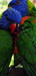 Two colorful parrots with vibrant green and blue feathers on a mobile wallpaper.