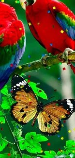 Colorful parrots and butterfly with confetti background.