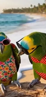 Two parrots in colorful outfits at a beach setting.