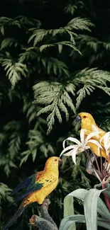 Yellow parrots on plant with lush green foliage.