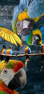 Vibrant blue and yellow parrots in a dynamic mobile wallpaper.