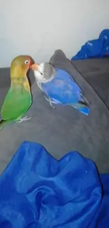 Two colorful parrots sit on a grey couch, one is green and yellow, the other is blue.