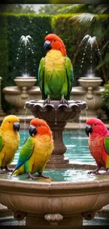 Colorful parrots perched on a beautiful garden fountain scene.