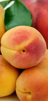 Vibrant cluster of fresh peaches with green leaf.