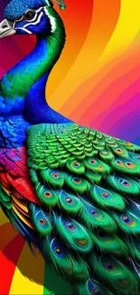 Colorful peacock art with vibrant background.