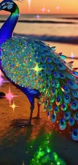 A vibrant peacock with colorful feathers on a beach during sunset.