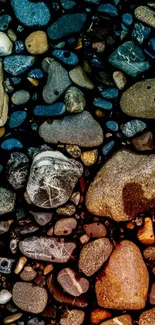 Colorful pebbles arranged on a beach.