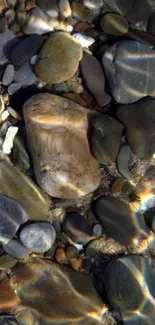 Colorful pebbles and stones in sunlight on a tranquil beach setting.