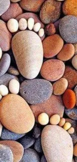 Mobile wallpaper featuring colorful pebbles arranged in a footprint pattern.