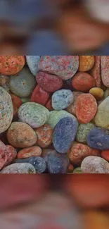 Colorful pebbles and stones wallpaper with a natural theme.