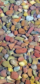 Colorful pebbles visible through clear water, creating a serene, natural pattern.