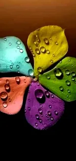 Colorful petals with raindrops on a dark background.