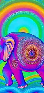 Psychedelic colorful elephant with intricate patterns on a bright background.