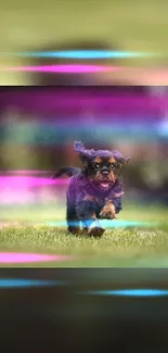 Playful puppy runs with a colorful blur.