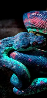 Vibrant blue and green python snake coiled elegantly.