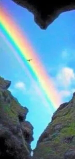 Rainbow in blue sky between cliffs with bird flying.