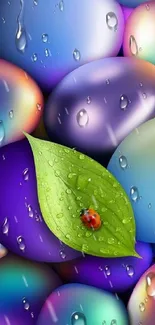 Colorful eggs with raindrops and a green leaf with ladybug.