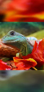 Green reptile amidst vibrant red leaves wallpaper.