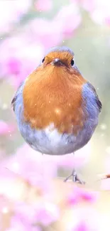 Cute robin bird among pink flowers in soft daylight.