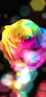 Colorful rose with bokeh effect in vibrant mobile wallpaper.