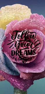 Inspirational colorful rose wallpaper with 'Follow Your Dreams' quote.