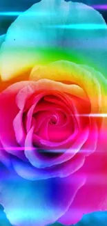 Rainbow-colored rose with a blue starry background.