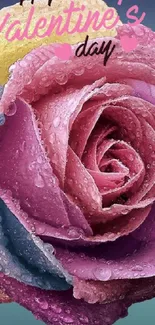 Multicolored rose with dew, happy Valentine's Day text on wallpaper.