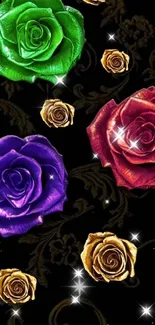 Colorful roses on a black wallpaper background.