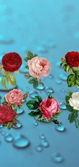 Elegant wallpaper with vibrant roses on a blue background and water droplets.