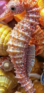 Colorful seahorse surrounded by vibrant seashells on a mobile wallpaper.