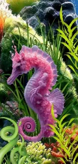 Pink seahorse surrounded by colorful coral and green sea plants.