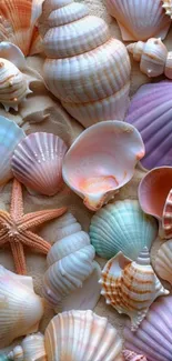 Colorful pastel seashells on beach sand.