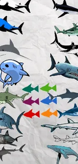 Colorful shark illustrations on textured paper background.