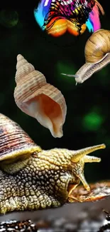 Colorful snail and shell mobile wallpaper with a green background.