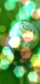 Snail with bokeh lights on a green leaf background.