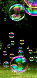 Colorful soap bubbles floating on a dark green background.