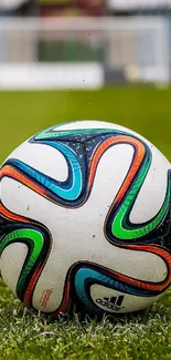 Vibrant soccer ball on a lush green football field.