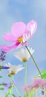 Vibrant flowers under a blue sky, featuring pink, white, and purple blooms.