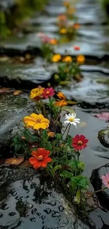 Vibrant flowers line a rocky stream path.