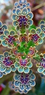 Vibrant close-up of patterned colorful succulent.