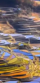 Colorful terraced fields creating a vibrant landscape view.