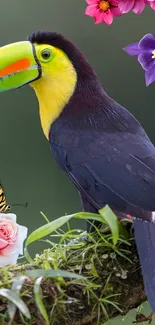 Toucan perched with vibrant flowers and butterfly on a nature wallpaper.