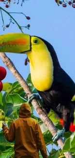 Colorful toucan perched in a lush jungle scene.